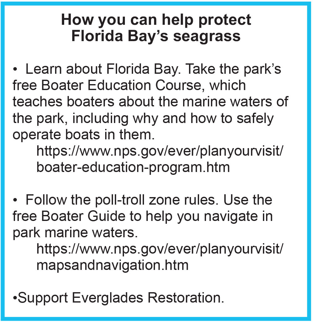 Help the Florida Bay